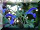 2005-09-18-Chat-Landon233.jpg